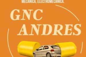 Deportes – Pergamino Básquet incorporó a Tomás Quinteros