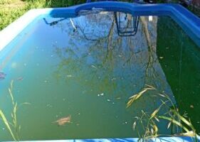 Pergamino – Concientización sobre Dengue y Fiebre Hemorrágica